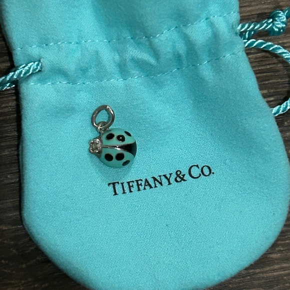 Jewelry - Authentic Tiffany & Co Signature Tiffany Blue Lady Bug Charm 925